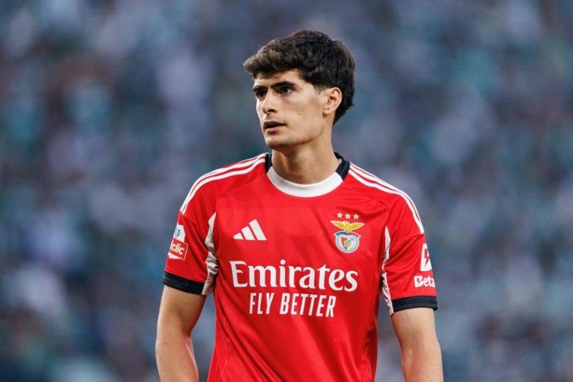 Bournemouth Target Benfica Star Antonio Silva as Cherries Seek Senesi Replacement